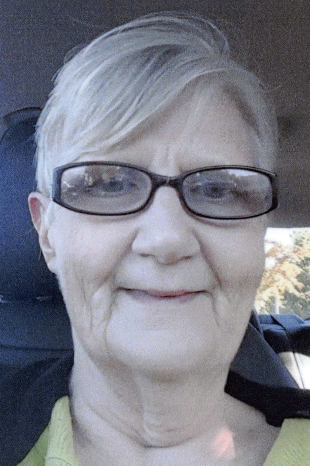 Peggy Lynn Robinson Obituary on Michigan Memorial Funeral Home