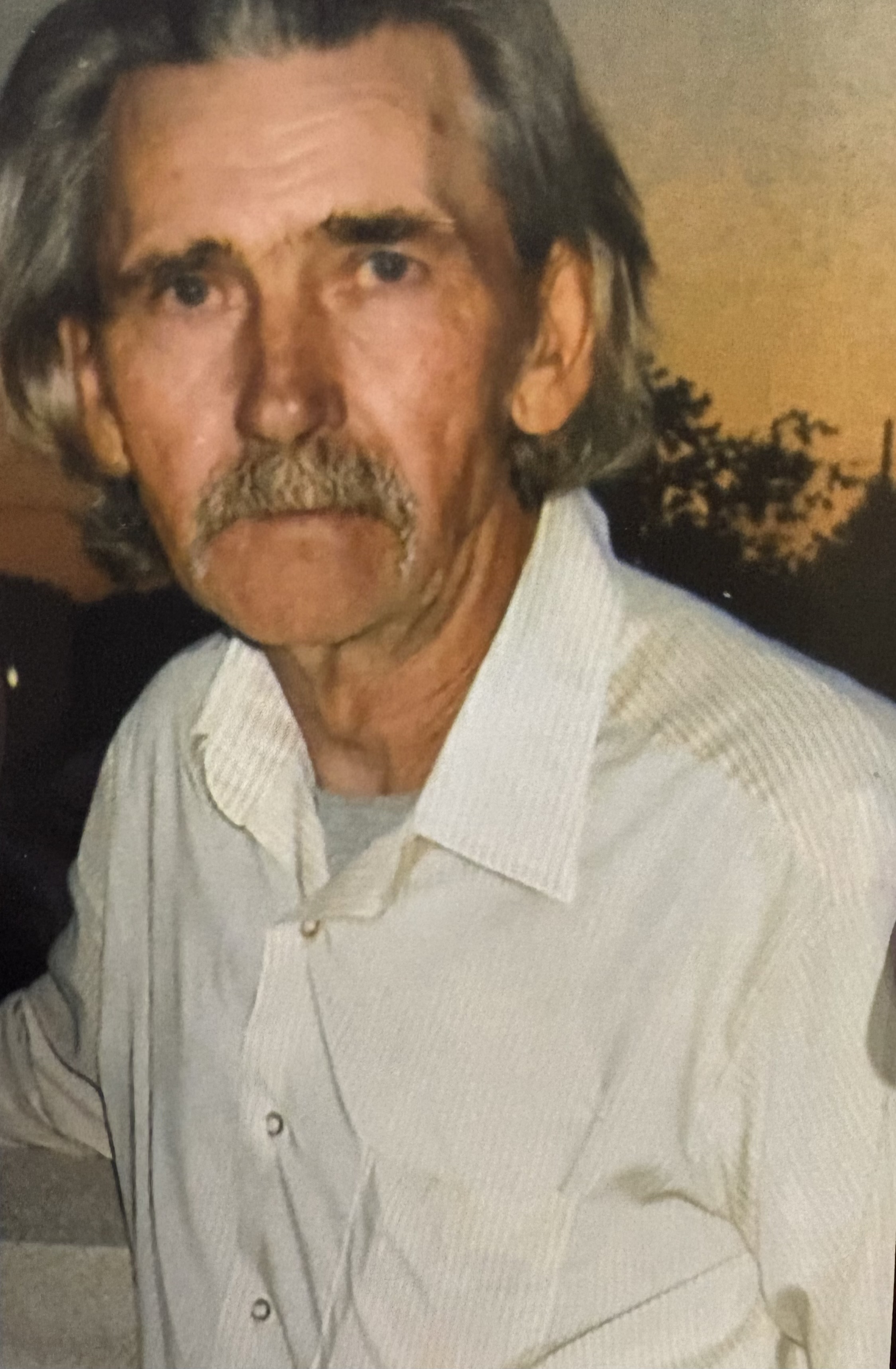 Carlie Clayton Frye Obituary on Michigan Memorial Funeral Home