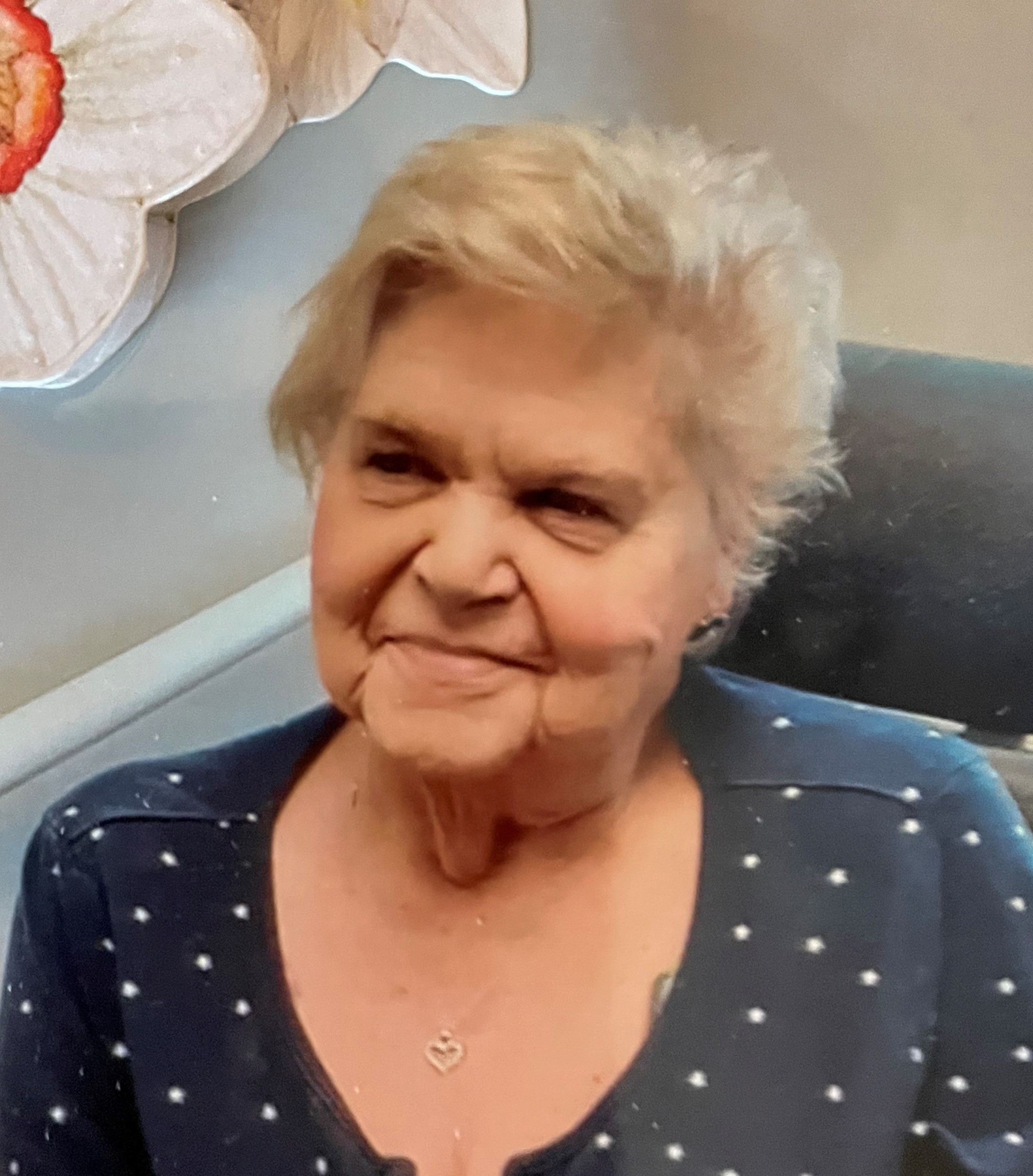 Judy Ann Emery Obituary on Michigan Memorial Funeral Home